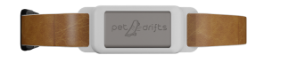 belt-image
