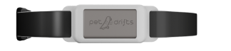 belt-image