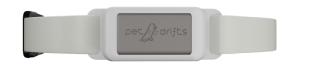 belt-image